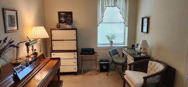 9355 Irving Park Rd Unit 208, Schiller Park, IL 60176 - office space featuring light carpet