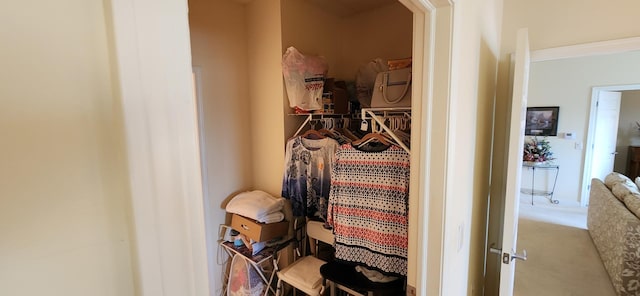 9355 Irving Park Rd Unit 208, Schiller Park, IL 60176 - view of closet