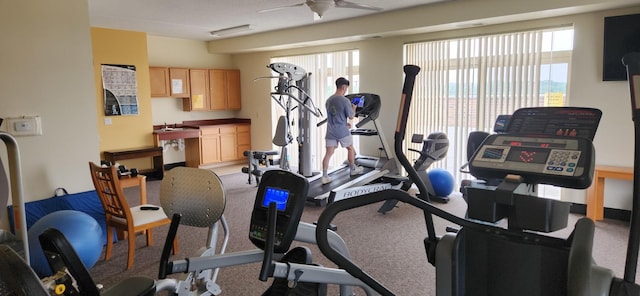 9355 Irving Park Rd Unit 208, Schiller Park, IL 60176 - workout area featuring plenty of natural light, ceiling fan, and light carpet