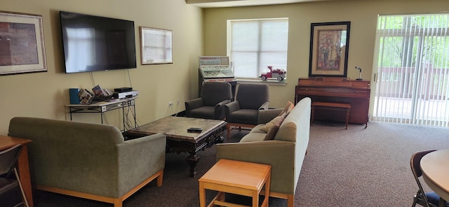 9355 Irving Park Rd Unit 208, Schiller Park, IL 60176 - living room featuring carpet flooring and plenty of natural light