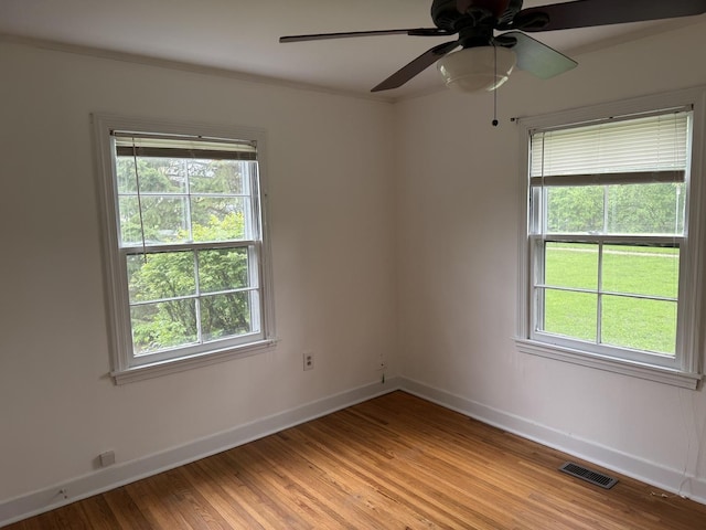 1310 S Sumner St, Wheaton, IL 60187 - unfurnished room featuring baseboards, light wood-type flooring, plenty of natural light, and ceiling fan