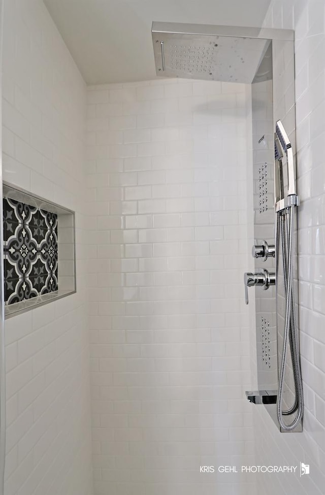 620 Mallard Ct Unit C1, Bartlett, IL 60103 - bathroom view of tiled shower