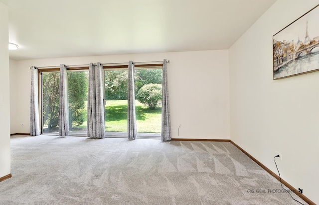 620 Mallard Ct Unit C1, Bartlett, IL 60103 - empty room with baseboards and carpet