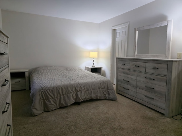 1246 Robin Dr, Carol Stream, IL 60188 - bedroom featuring carpet floors
