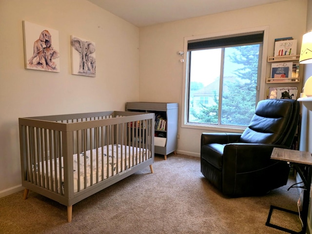 1246 Robin Dr, Carol Stream, IL 60188 - bedroom featuring carpet and baseboards