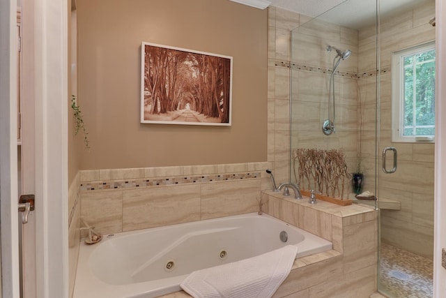 26136 E 2200 N Rd, Lexington, IL 61753 - full bathroom with a whirlpool tub and a stall shower