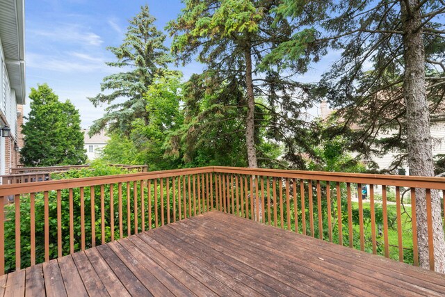 303 Reserve Cir, Clarendon Hills, IL 60514 - photo 20