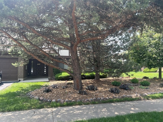 18040 Royal Oak Ct Unit 2, Tinley Park, IL 60477 - view of front of property