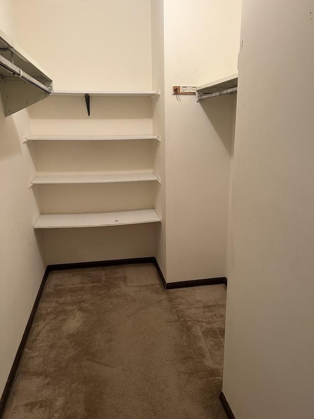 18040 Royal Oak Ct Unit 2, Tinley Park, IL 60477 - spacious closet featuring carpet