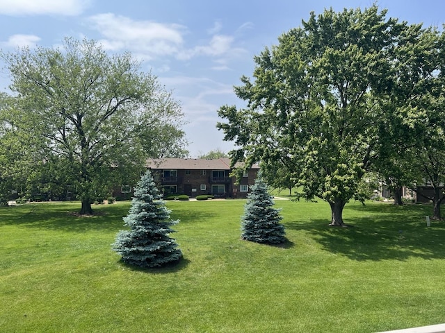 18040 Royal Oak Ct Unit 2, Tinley Park, IL 60477 - view of green lawn