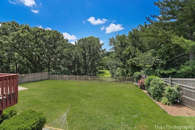 1415 Arabian Spur, Mchenry, IL 60051 - fenced backyard featuring view of wooded area