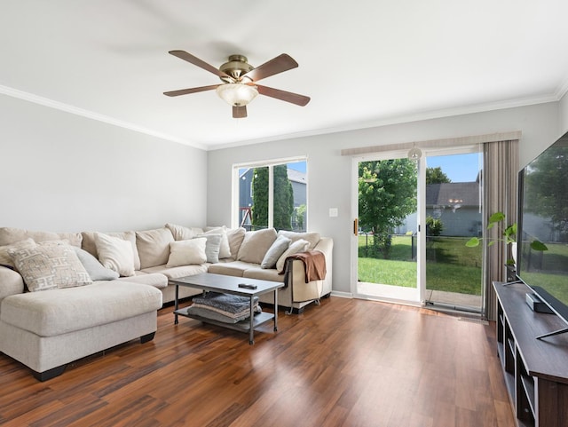 2455 Hillsboro Ln, Montgomery, IL 60538 - living area with crown molding, dark wood-type flooring, a ceiling fan, and plenty of natural light