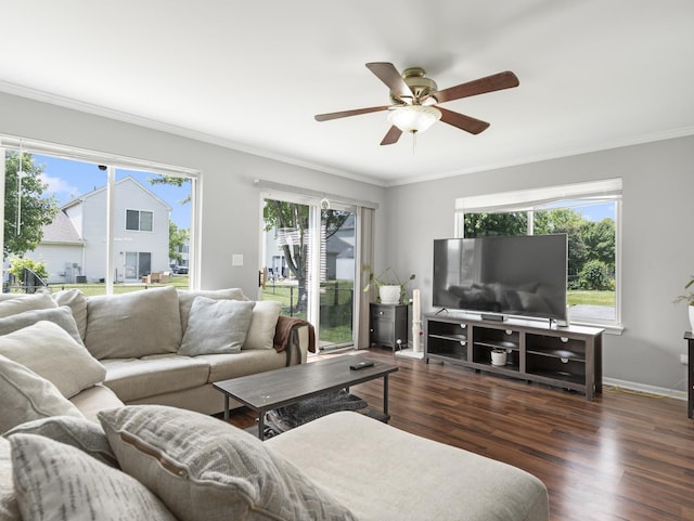 2455 Hillsboro Ln, Montgomery, IL 60538 - living area with crown molding, a ceiling fan, and wood finished floors