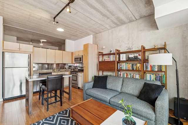 630 N Franklin St Unit 618, Chicago, IL 60654 - living area with light wood-style floors