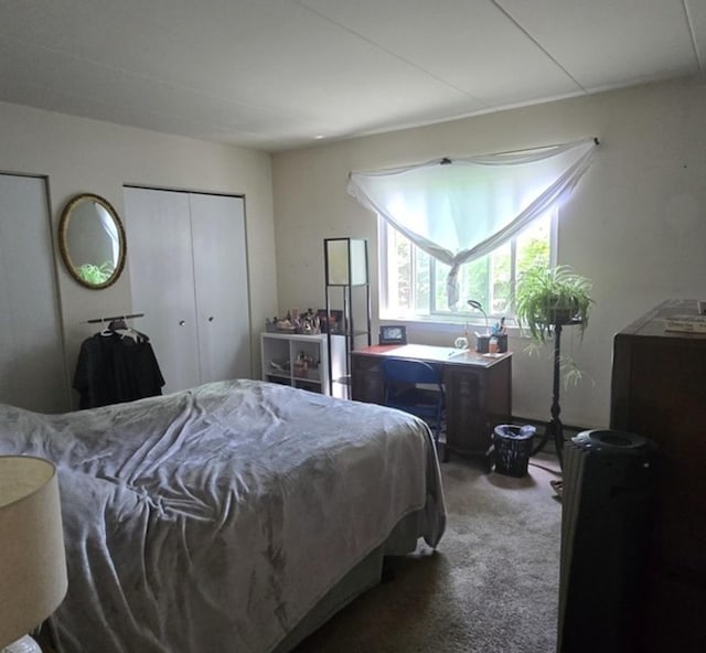 12850 Crestbrook Ct Unit 3, Crestwood, IL 60418 - view of carpeted bedroom