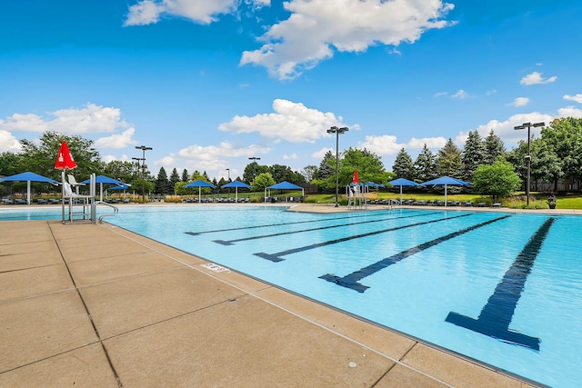 3432 Redwing Dr, Naperville, IL 60564 - view of community pool