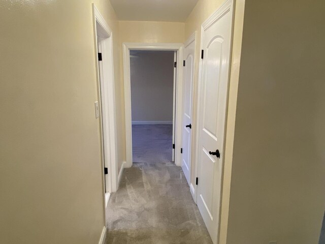 2834 W Granville Ave Unit 2A, Chicago, IL 60659 - hallway featuring carpet floors and baseboards