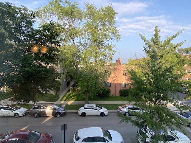 2834 W Granville Ave Unit 2A, Chicago, IL 60659 - view of parking / parking lot