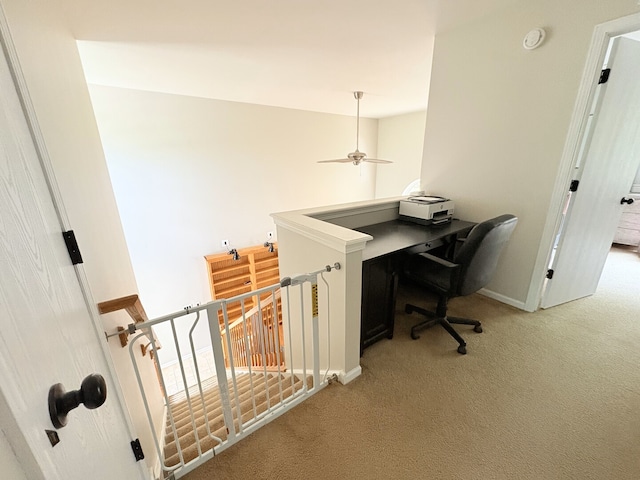 534 Mallard Ln Unit C, Sugar Grove, IL 60554 - photo 11