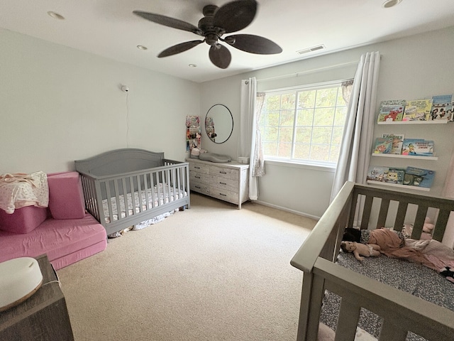 534 Mallard Ln Unit C, Sugar Grove, IL 60554 - photo 16