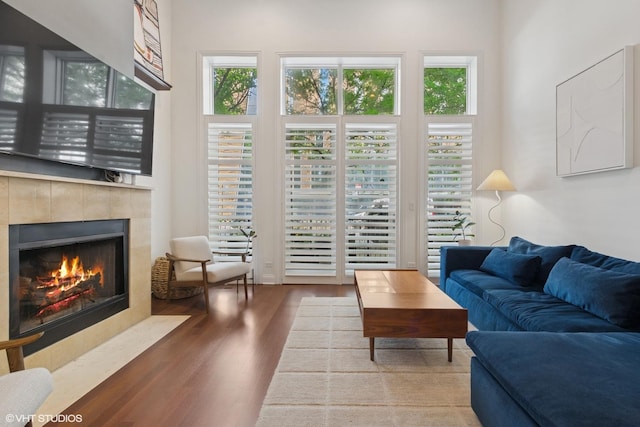 3020 N Sheffield Ave Unit 1N, Chicago, IL 60657 - living area featuring wood finished floors, plenty of natural light, and a fireplace