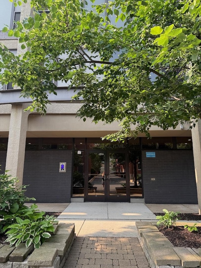345 E Eastgate Pl Unit 505, Chicago, IL 60616 - entrance to property featuring french doors and brick siding