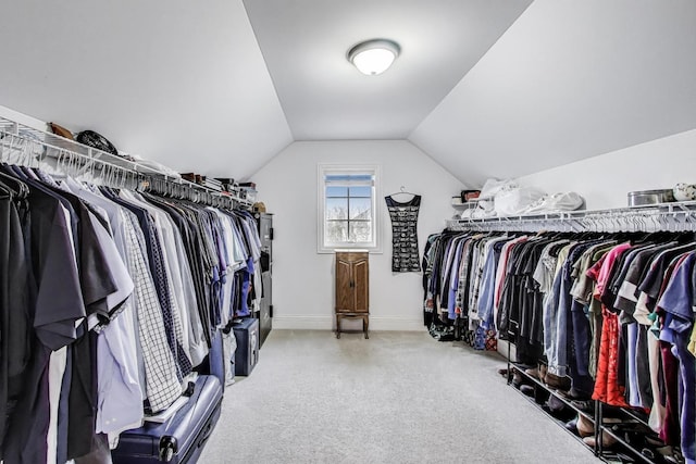 22814 Sara Springs Dr, Frankfort, IL 60423 - spacious closet with carpet floors and lofted ceiling