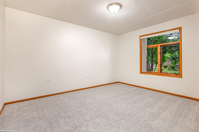 6256 Kallsen Dr Unit 2, Tinley Park, IL 60477 - photo 13