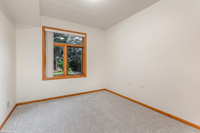 6256 Kallsen Dr Unit 2, Tinley Park, IL 60477 - photo 16