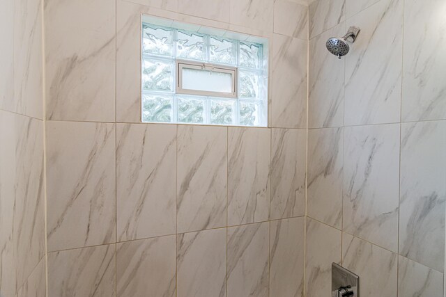 336 Manitowac St, Park Forest, IL 60466 - bathroom view of tiled shower