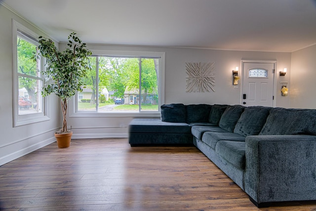 336 Manitowac St, Park Forest, IL 60466 - living room featuring wood finished floors and ornamental molding