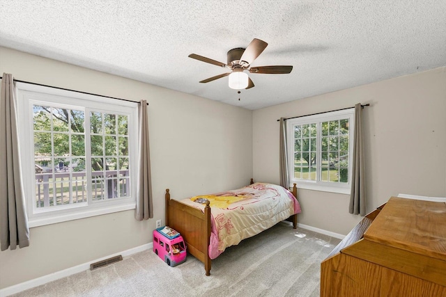 12126 Maple Hill Dr, Farmer City, IL 61842 - photo 19