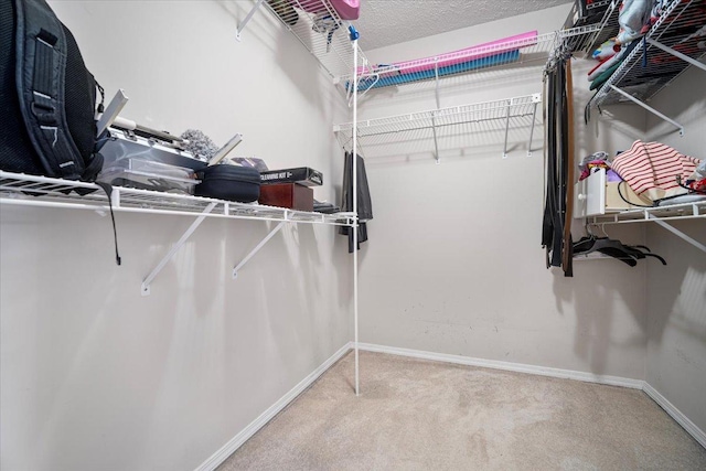 1704 Sunrise Pt, Normal, IL 61761 - photo 15