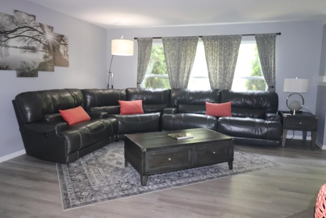 2886 E 6th St, Belvidere, IL 61008 - living area featuring wood finished floors and baseboards