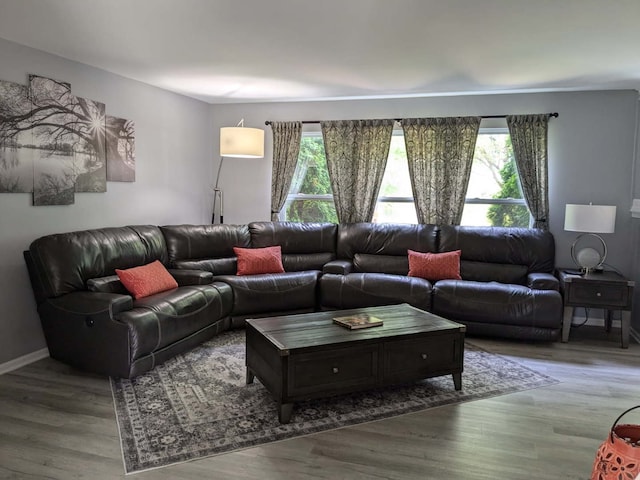 2886 E 6th St, Belvidere, IL 61008 - living room featuring plenty of natural light, wood finished floors, and baseboards