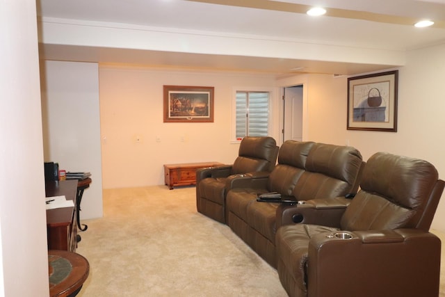 2886 E 6th St, Belvidere, IL 61008 - carpeted cinema room featuring recessed lighting