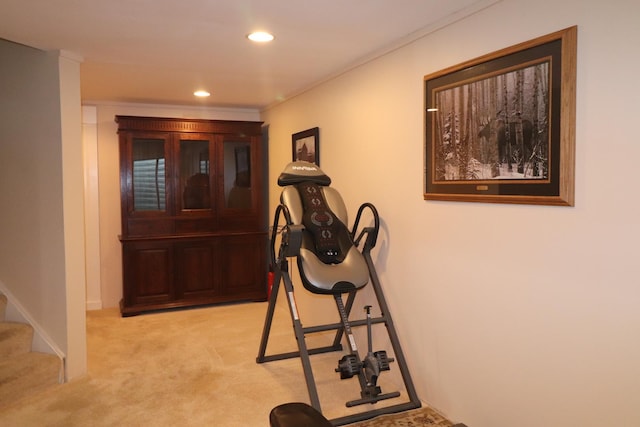 2886 E 6th St, Belvidere, IL 61008 - workout room featuring light carpet and recessed lighting