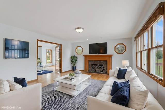 13714 S Janas Pkwy, Homer Glen, IL 60491 - living area featuring wood finished floors, plenty of natural light, a fireplace, and baseboards