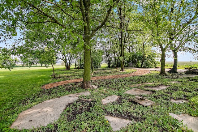 4391 N State Route 1-17, Momence, IL 60954 - view of grassy yard