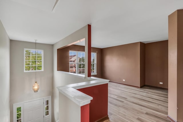 743 Sycamore Ct, Lindenhurst, IL 60046 - entrance foyer with light wood-style flooring and baseboards