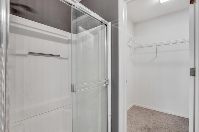 743 Sycamore Ct, Lindenhurst, IL 60046 - full bath with a shower stall and a walk in closet