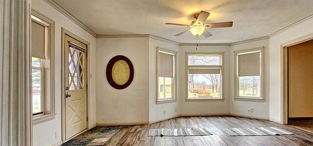 1 S Stanton St, Shannon, IL 61078 - foyer entrance with wood finished floors, ceiling fan, ornamental molding, and baseboards