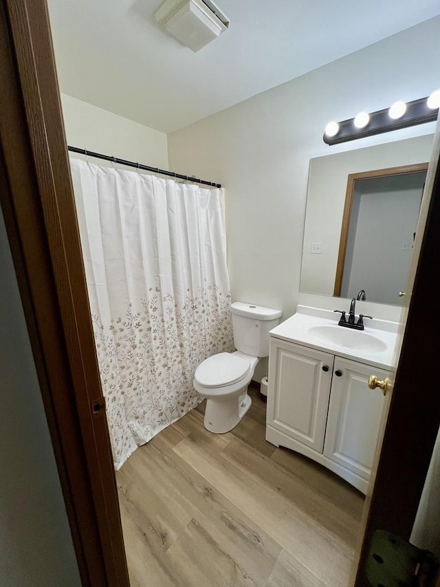 4400 W Shamrock Ln Unit 1B, Mchenry, IL 60050 - bathroom featuring wood finished floors, toilet, vanity, and a shower with shower curtain