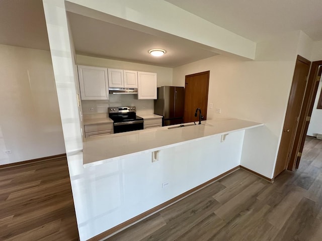 4400 W Shamrock Ln Unit 1B, Mchenry, IL 60050 - kitchen featuring electric stove, under cabinet range hood, a sink, and dark wood-style floors