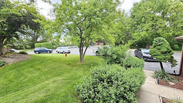 1461 W Midland Ct, Joliet, IL 60436 - photo 5