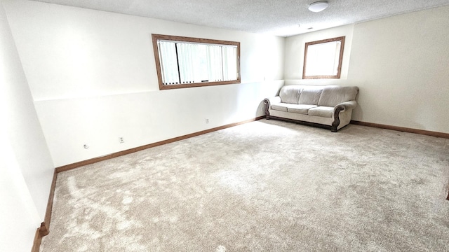 1461 W Midland Ct, Joliet, IL 60436 - photo 46