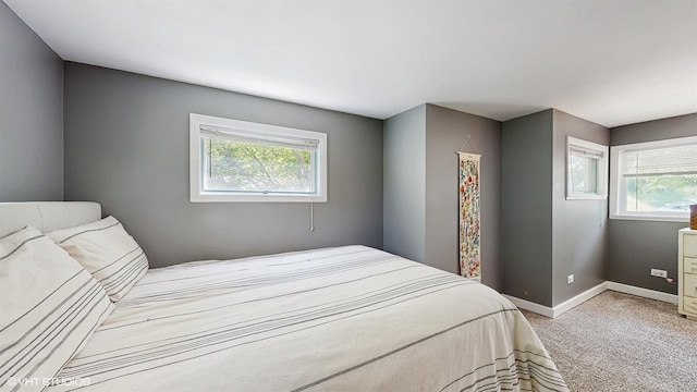 914 Ski Hill Rd, Fox River Grove, IL 60021 - bedroom featuring multiple windows and light colored carpet