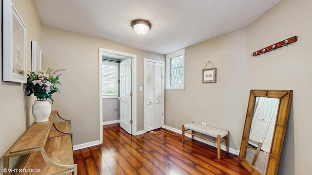 914 Ski Hill Rd, Fox River Grove, IL 60021 - entryway with healthy amount of natural light and wood-type flooring