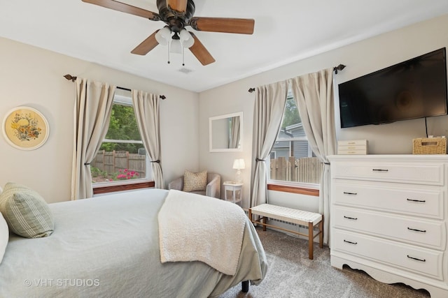 207 S Van Buren St, East Dundee, IL 60118 - bedroom featuring carpet and ceiling fan