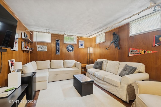 207 S Van Buren St, East Dundee, IL 60118 - living area with track lighting and wooden walls